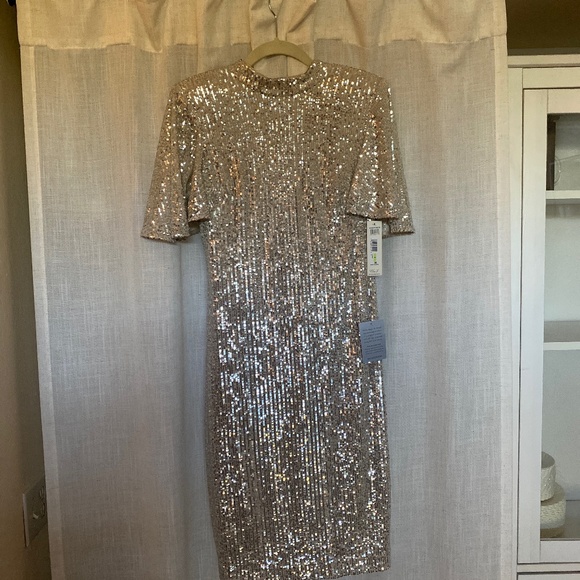 New Dress w Sequins from Nordstrom - Picture 1 of 7
